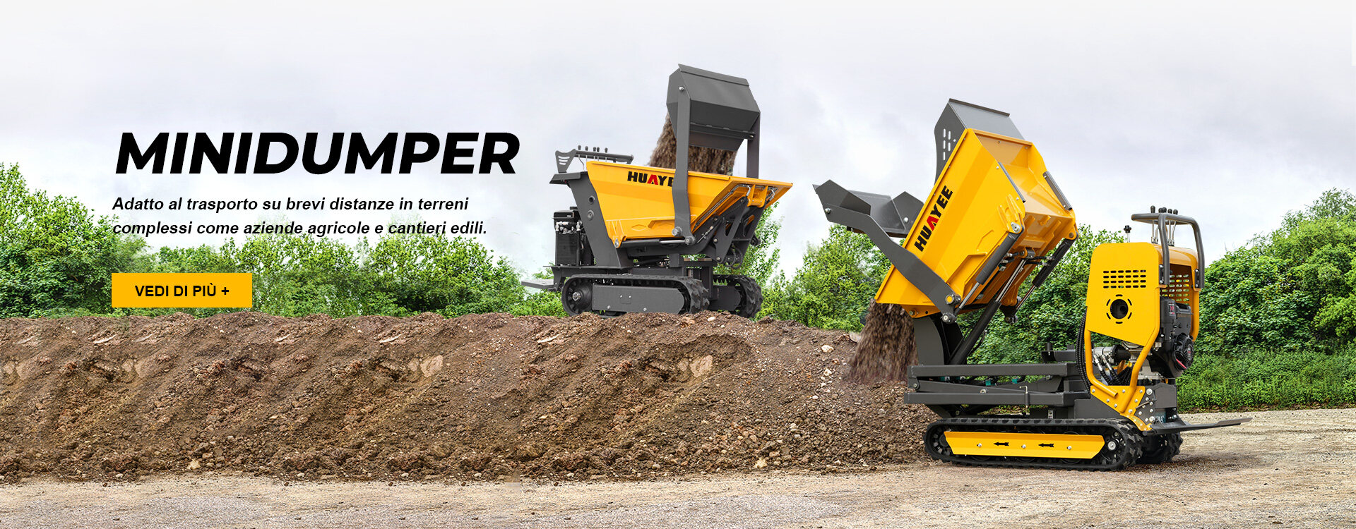 Mini Dumper